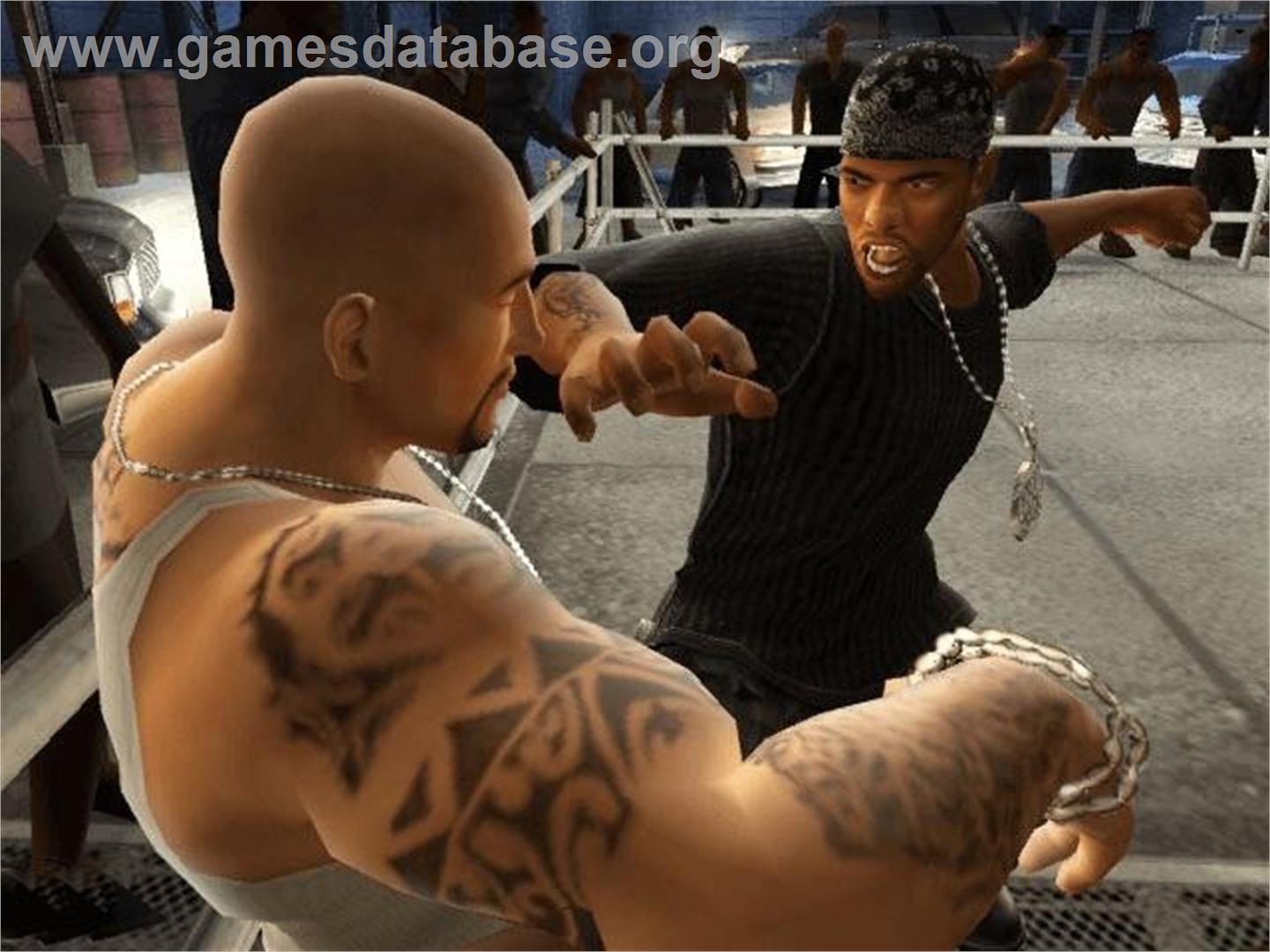 Def Jam Fight For Ny - Sony Playstation 2 - Artwork - In Game