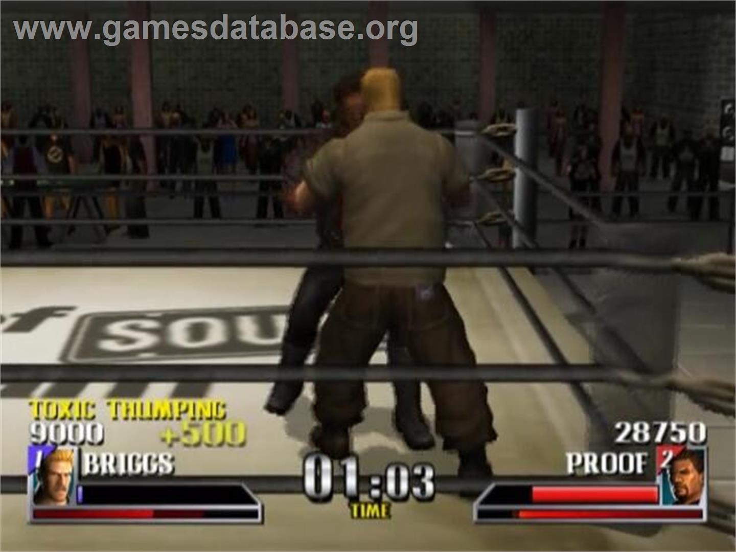Def Jam Vendetta - Sony Playstation 2 - Artwork - In Game