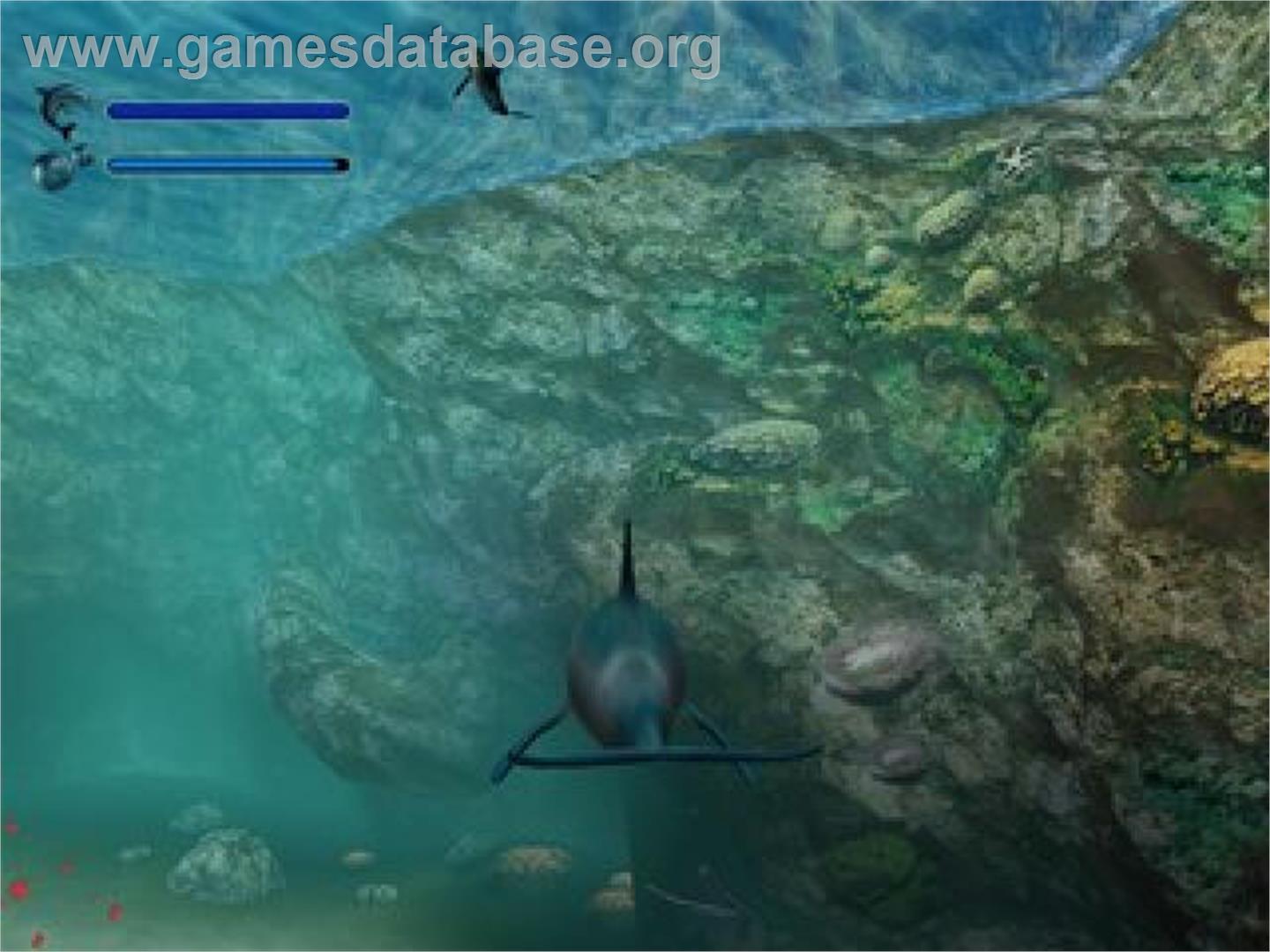 Ecco The Dolphin - Defender Of The Future - Sony Playstation 2 - Artwork - In Game