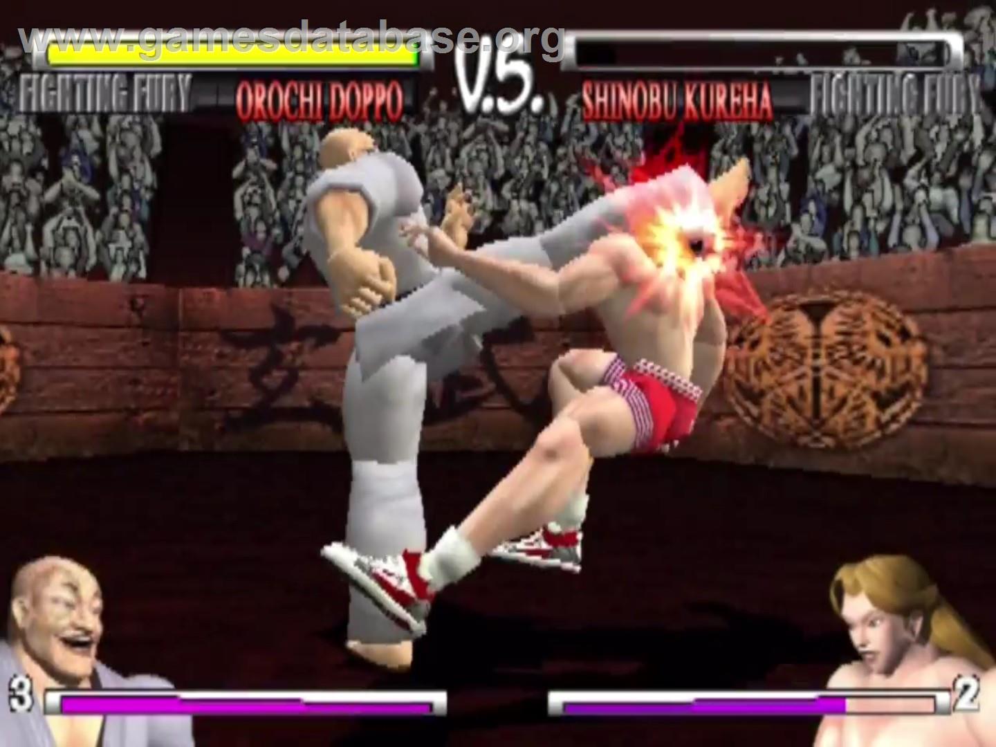 Fighting Fury - Sony Playstation 2 - Artwork - In Game