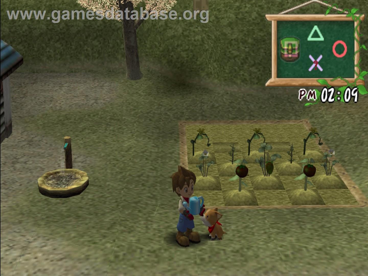 Harvest Moon - A Wonderful Life Special Edition - Sony Playstation 2 - Artwork - In Game