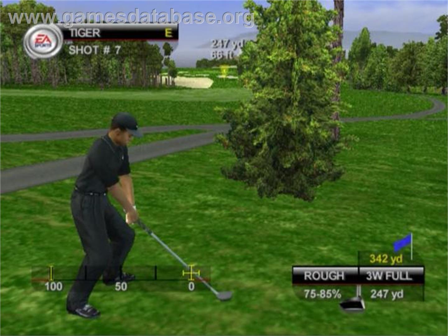 Tiger Woods Pga Tour 08 - Sony Playstation 2 - Artwork - In Game