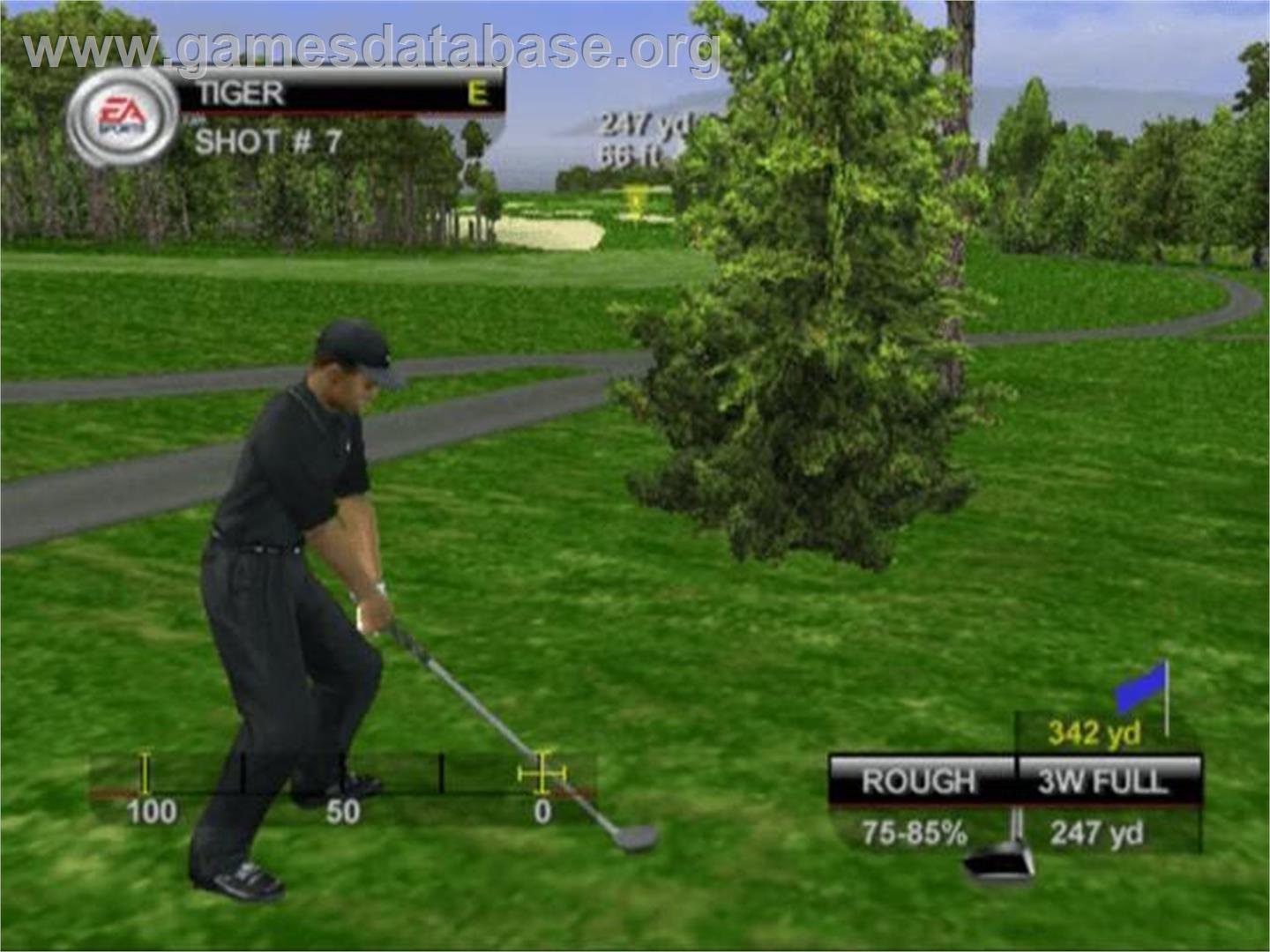 Tiger Woods Pga Tour 10 - Sony Playstation 2 - Artwork - In Game