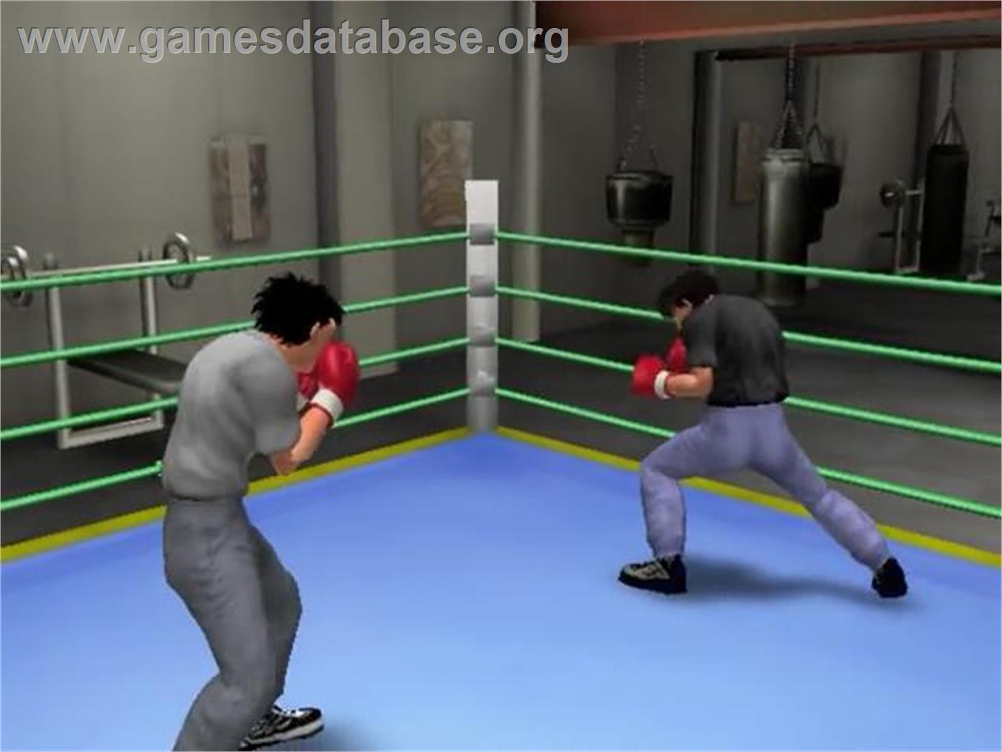 Victorious Boxers 2 - Fighting Spirit - Sony Playstation 2 - Artwork - In Game