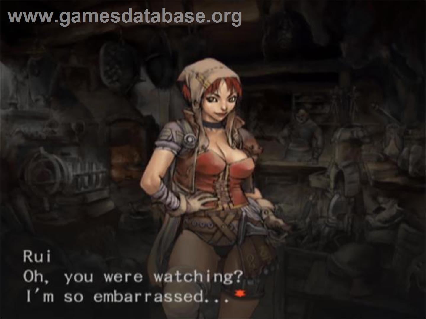 Wizardry - Tale Of The Forsaken Land - Sony Playstation 2 - Artwork - In Game