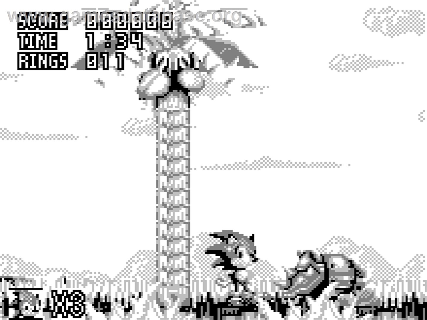 Sonic Jam - Tiger Game.com - Artwork - In Game