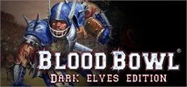Banner artwork for Blood Bowl Dark Elves Edition.