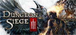 Banner artwork for Dungeon Siege III.