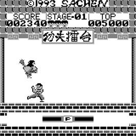 In game image of Kung-fu Street on the Watara Supervision.